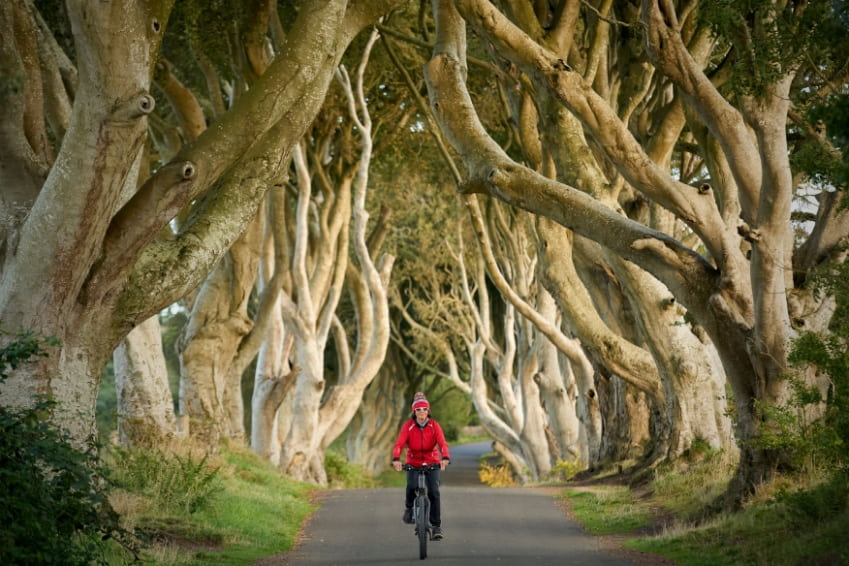 A woman cycling along the iconic tree-lined avenue of the Dark Hedges near Bushmills, Northern Ireland.