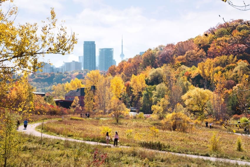 Autumn at Weston Quarry Garden with hazy CN Tower and Toronto skyline in the background — a hidden gem during 3 days in Toronto.