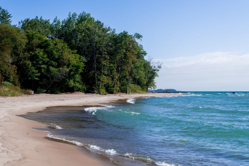 Peaceful sandy beach on Centre Island surrounded by lush green trees and calm blue water.