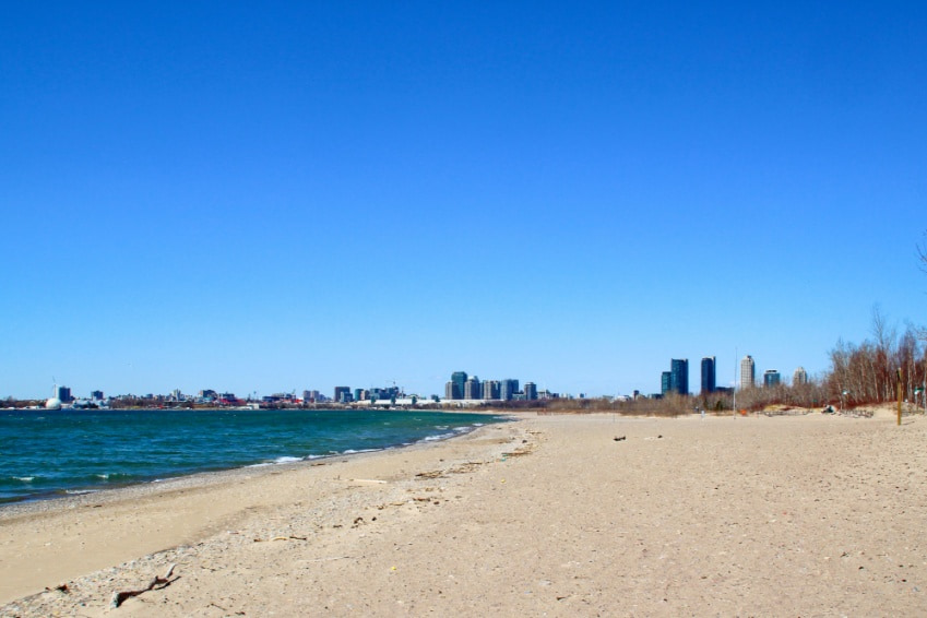 Open sandy area at Hanlan’s Point Beach with calm waters and a clear horizon.