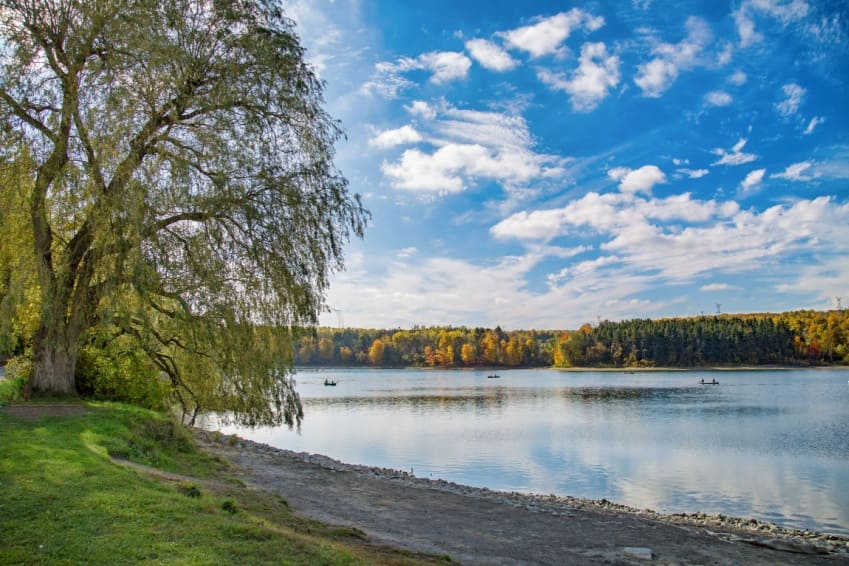 Tranquil Kelso Lake with tree-lined shores and reflections on the water.